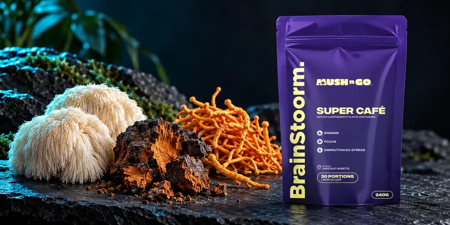 Busta di Brainstoorm di Mush N Go tra funghi bianchi, chaga e cordyceps arancioni su una roccia scura